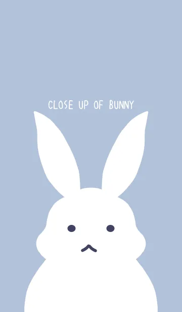 [LINE着せ替え] シンプルバニー/くすみブルーグレイの画像1