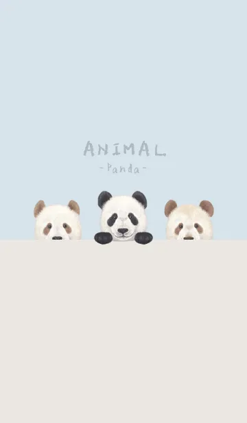 [LINE着せ替え] ANIMAL - パンダ - パステルブルーの画像1