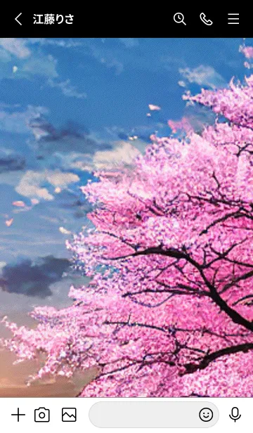 [LINE着せ替え] 桜の花咲く頃#BZ09。の画像2