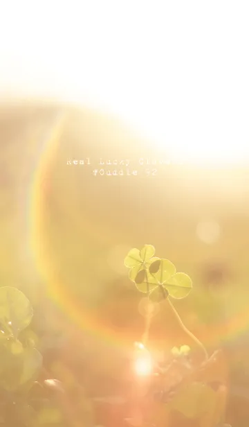 [LINE着せ替え] 本物ラッキークローバーズ #Cuddle 92の画像1