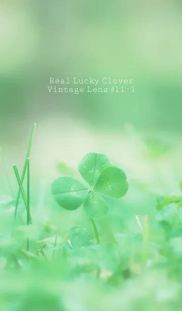 [LINE着せ替え] 四つ葉のクローバー Vintage Lens #11-1の画像1