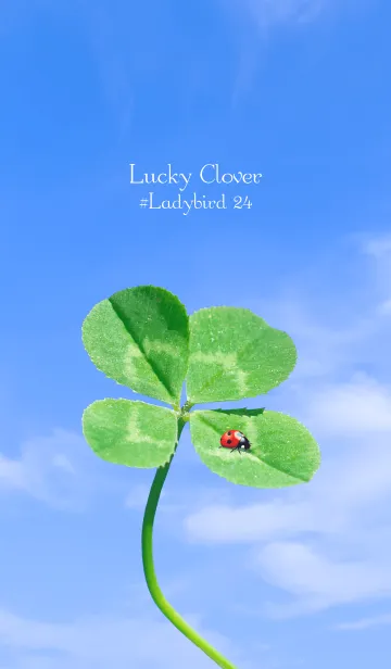 [LINE着せ替え] 四つ葉のクローバーとテントウムシ #24の画像1
