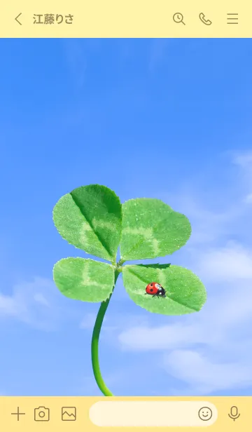 [LINE着せ替え] 四つ葉のクローバーとテントウムシ #24の画像2