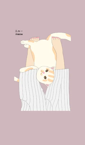 [LINE着せ替え] もも抱き動物シリーズ 3-貓ネコの画像1