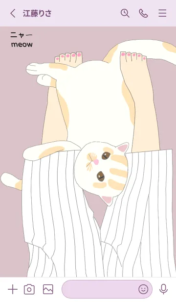 [LINE着せ替え] もも抱き動物シリーズ 3-貓ネコの画像2