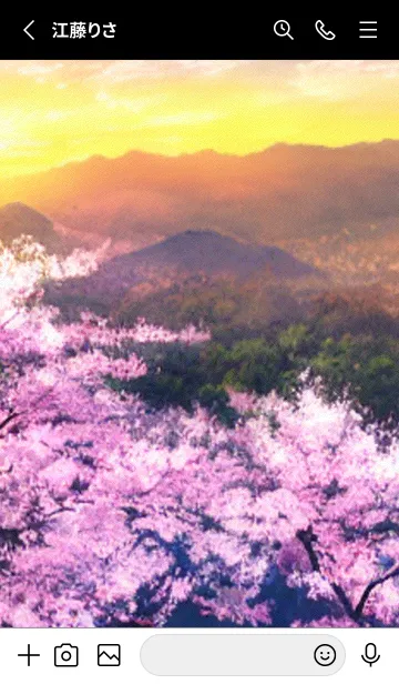 [LINE着せ替え] 桜の花咲く頃#BaA029。の画像2