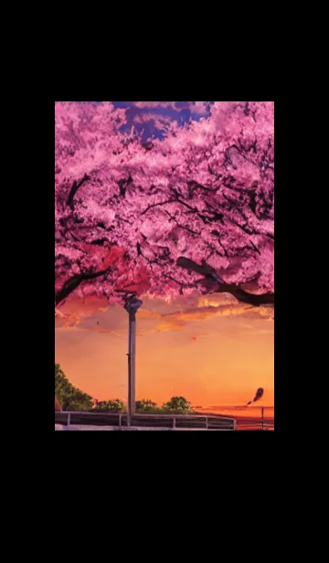 [LINE着せ替え] 桜の花咲く頃#BaB016。の画像1