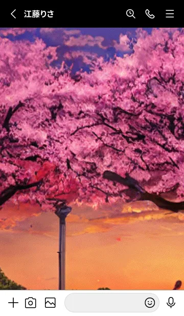 [LINE着せ替え] 桜の花咲く頃#BaB016。の画像2