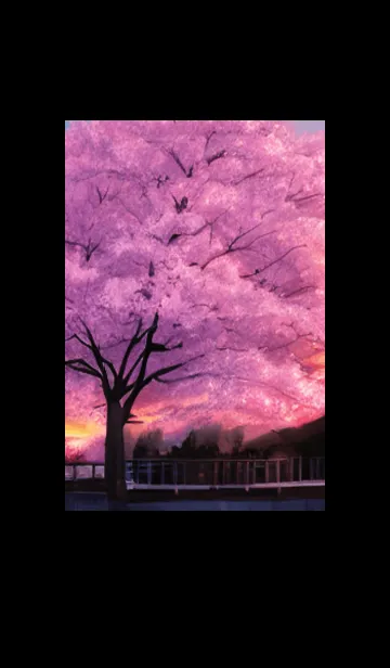 [LINE着せ替え] 桜の花咲く頃#BaB014。の画像1