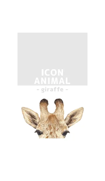 [LINE着せ替え] ICON ANIMAL - キリン - GRAY/02の画像1