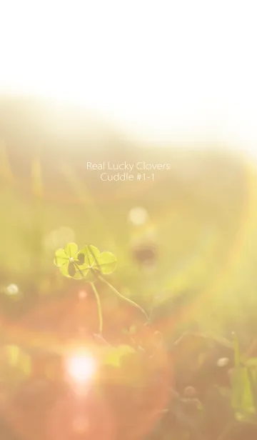 [LINE着せ替え] 四つ葉のクローバー Cuddle #1-1の画像1