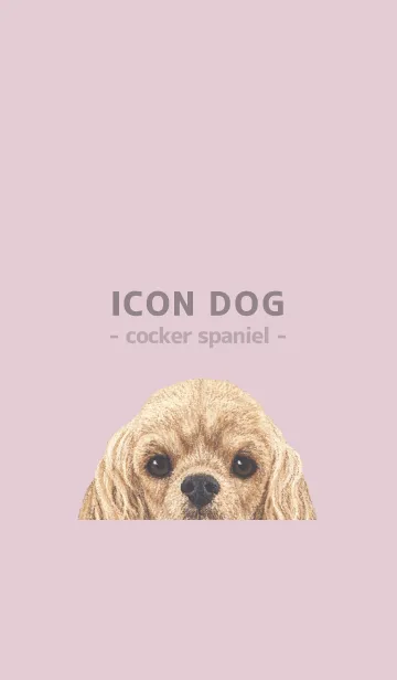 [LINE着せ替え] ICON DOG - コッカー - PASTEL PK/01の画像1