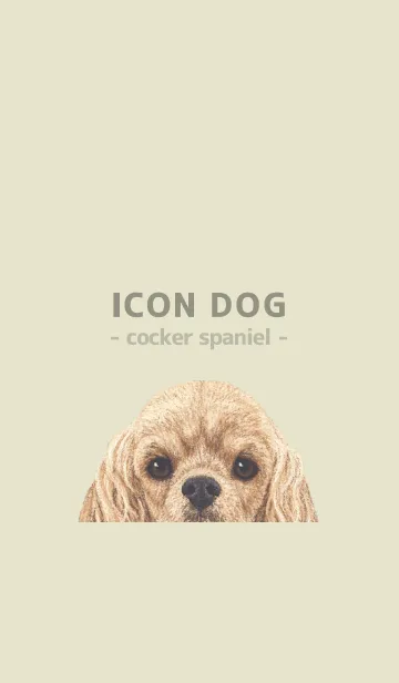 [LINE着せ替え] ICON DOG - コッカー - PASTEL YE/01の画像1