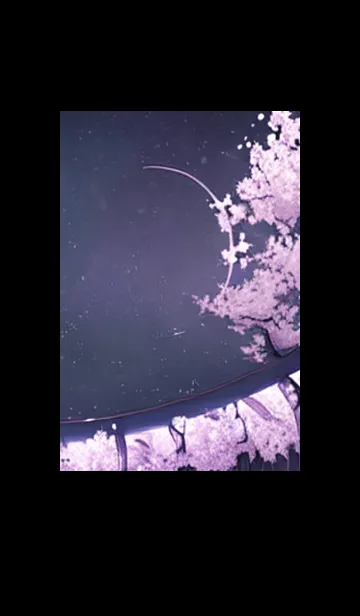 [LINE着せ替え] 月光夜桜#BaD125。の画像1