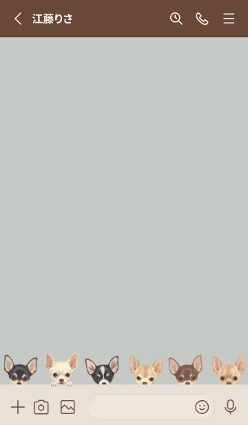 [LINE着せ替え] DOGS - チワワ - スカイグレーの画像2