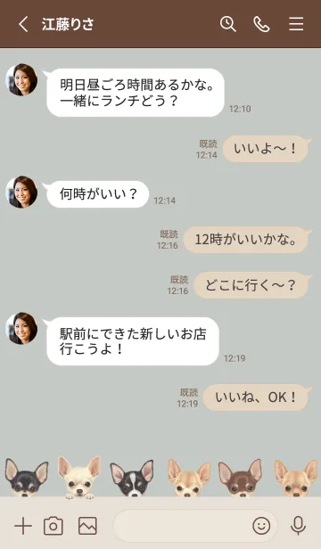 [LINE着せ替え] DOGS - チワワ - スカイグレーの画像3