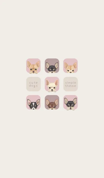 [LINE着せ替え] DOGS - チワワ - ピンクグレーの画像1