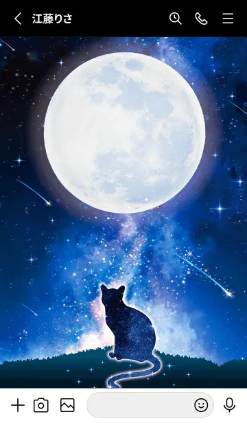 [LINE着せ替え] 幸福を呼び込む✨満月とネコの画像2