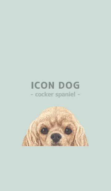 [LINE着せ替え] ICON DOG - コッカー - PASTEL GR/01の画像1