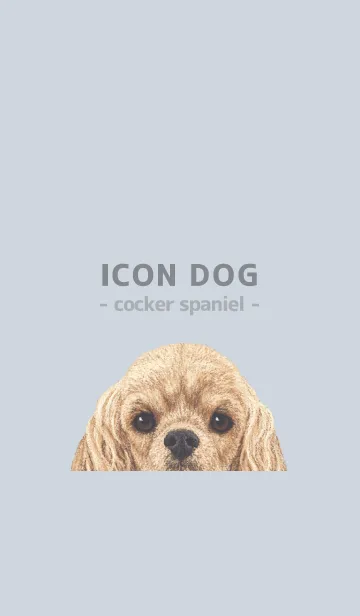 [LINE着せ替え] ICON DOG - コッカー - PASTEL BL/01の画像1
