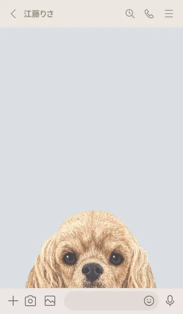 [LINE着せ替え] ICON DOG - コッカー - PASTEL BL/01の画像2