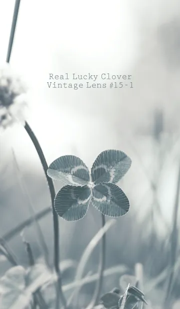 [LINE着せ替え] 四つ葉のクローバー Vintage Lens #15-1の画像1