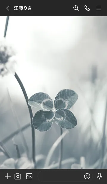 [LINE着せ替え] 四つ葉のクローバー Vintage Lens #15-1の画像2