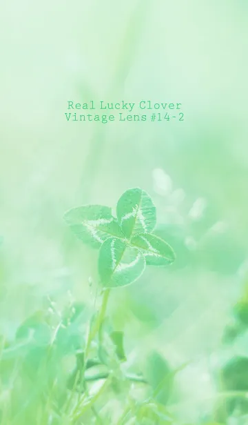 [LINE着せ替え] 四つ葉のクローバー Vintage Lens #14-2の画像1