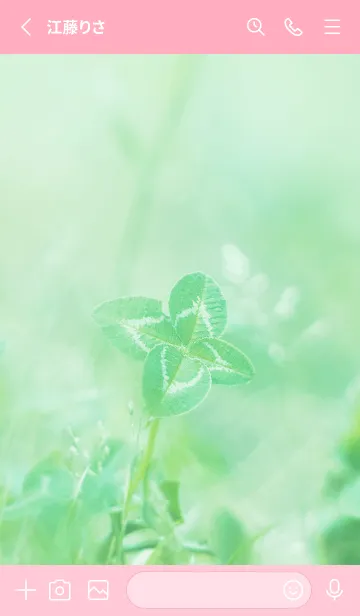 [LINE着せ替え] 四つ葉のクローバー Vintage Lens #14-2の画像2