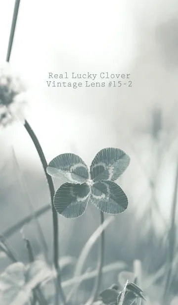 [LINE着せ替え] 四つ葉のクローバー Vintage Lens #15-2の画像1