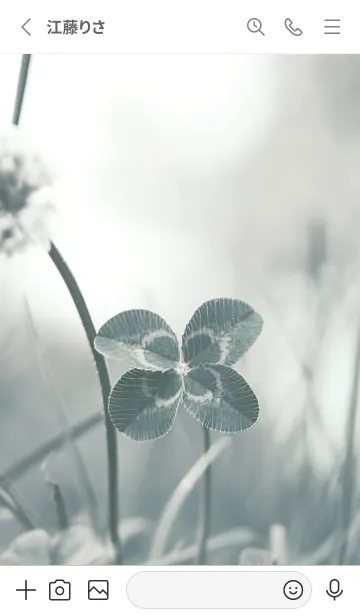 [LINE着せ替え] 四つ葉のクローバー Vintage Lens #15-2の画像2