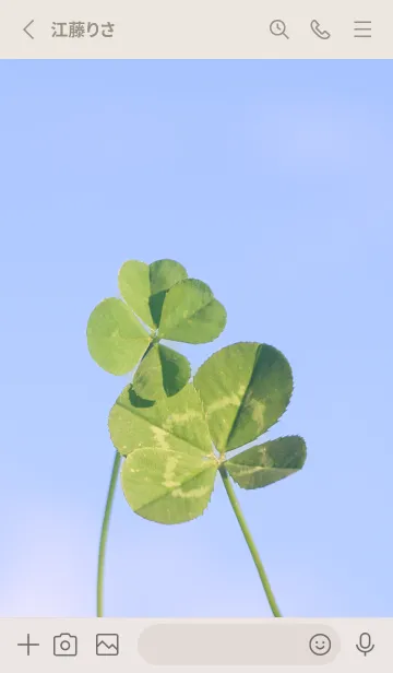 [LINE着せ替え] 四つ葉のクローバー Cuddle #9-1の画像2