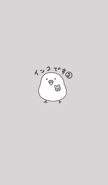 [LINE着せ替え] インコです。(アルビノ)2の画像1