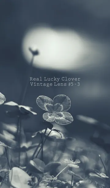 [LINE着せ替え] 四つ葉のクローバー Vintage Lens #5-3の画像1