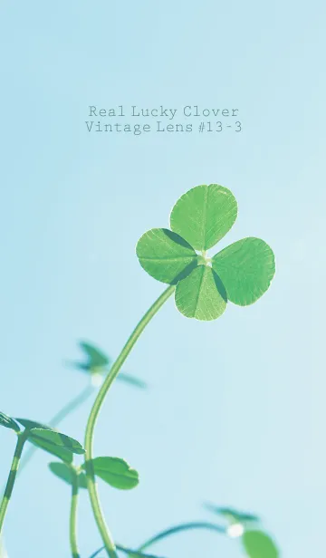 四つ葉のクローバー Vintage Lens #13-3の着せ替えメイン画像