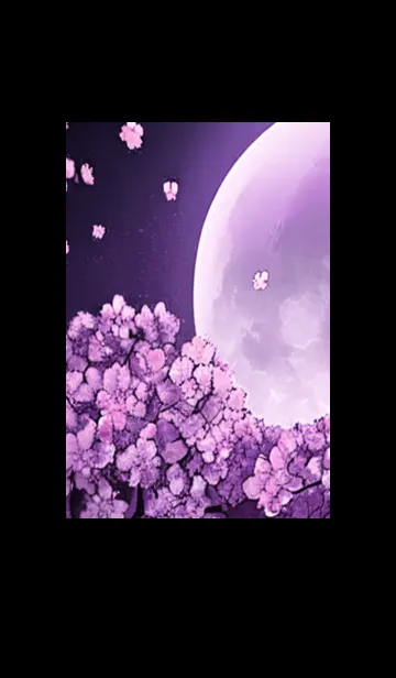 [LINE着せ替え] 月光夜桜#CD01。の画像1