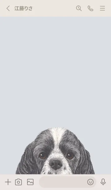 [LINE着せ替え] ICON DOG - コッカー - PASTEL BL/02の画像2