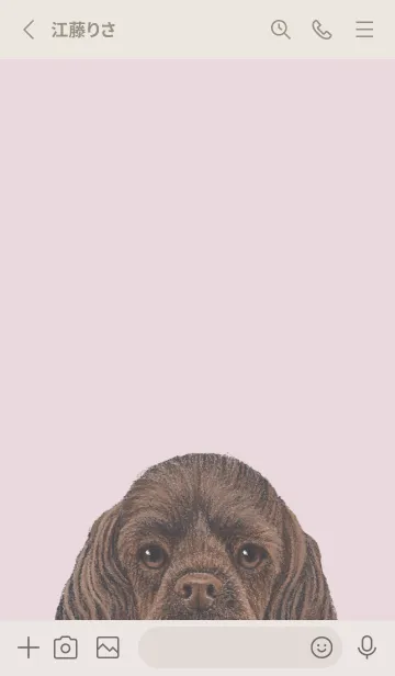 [LINE着せ替え] ICON DOG - コッカー - PASTEL PK/03の画像2