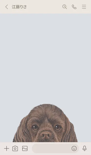 [LINE着せ替え] ICON DOG - コッカー - PASTEL BL/03の画像2