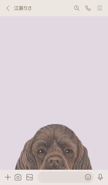 [LINE着せ替え] ICON DOG - コッカー - PASTEL PL/03の画像2