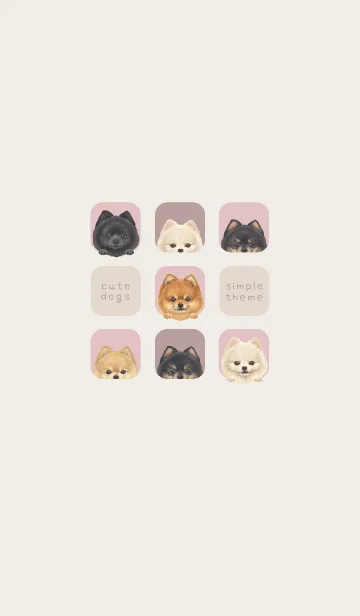 [LINE着せ替え] DOGS - ポメラニアン - ピンクグレーの画像1