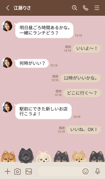 [LINE着せ替え] DOGS - ポメラニアン - ピンクグレーの画像3