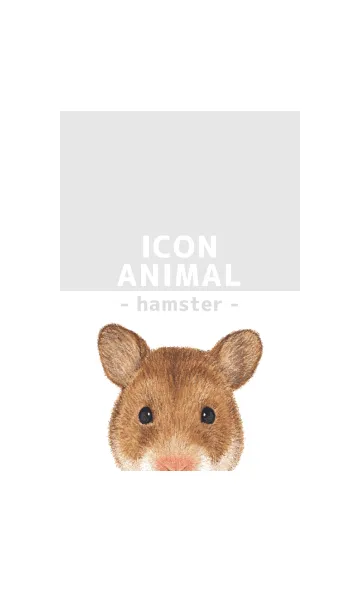 [LINE着せ替え] ICON ANIMAL - ゴルハム - GRAY/01の画像1