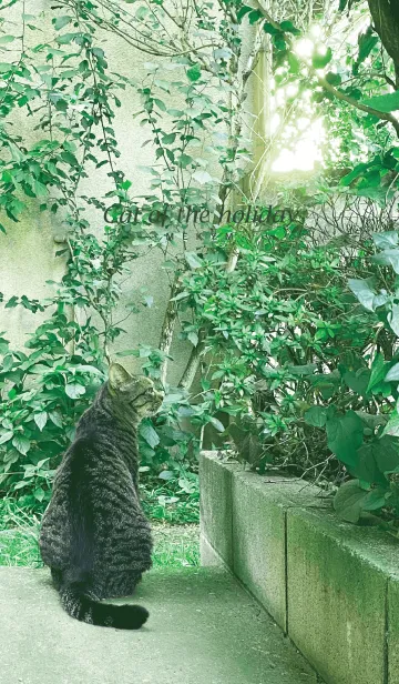 [LINE着せ替え] Cat of the holiday-MEKYM 8の画像1