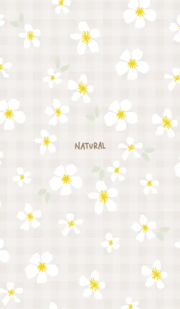 [LINE着せ替え] 白い花 大人カラー23の画像1