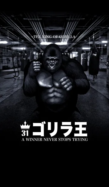 ゴリラ王 31の着せ替えメイン画像