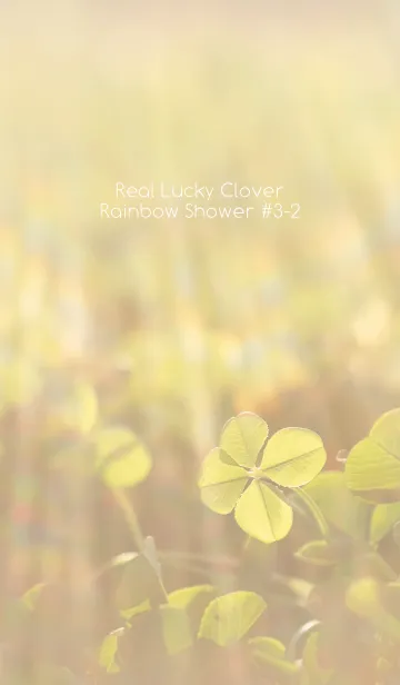 [LINE着せ替え] 四つ葉のクローバー Rainbow Shower #3-2の画像1