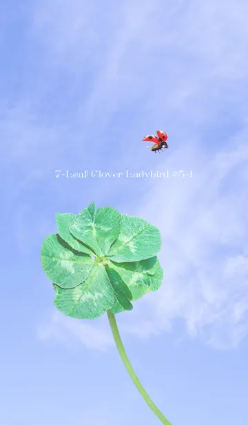 [LINE着せ替え] 七つ葉のクローバーとテントウムシ #5-1の画像1