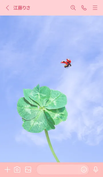 [LINE着せ替え] 七つ葉のクローバーとテントウムシ #5-1の画像2