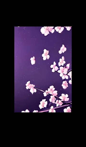 [LINE着せ替え] 月光夜桜#CJ111。の画像1